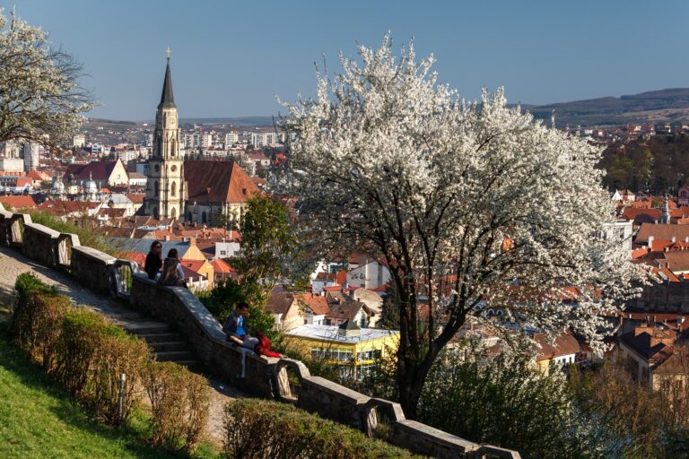 Cluj Napoca